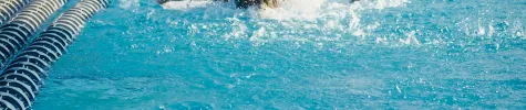 pexels-kindelmedia-9030281.jpg